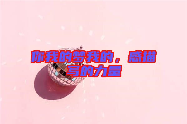 你我的夢(mèng)我的，感描寫(xiě)的力量