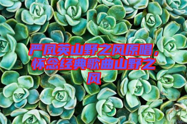 嚴鳳英山野之風原唱，懷念經(jīng)典歌曲山野之風