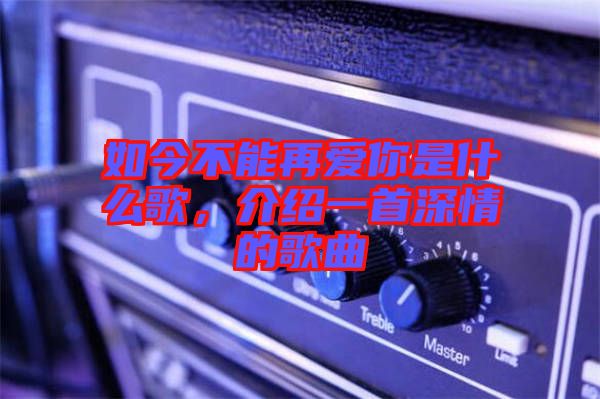 如今不能再愛你是什么歌，介紹一首深情的歌曲