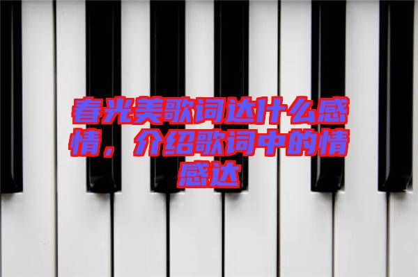 春光美歌詞達什么感情，介紹歌詞中的情感達