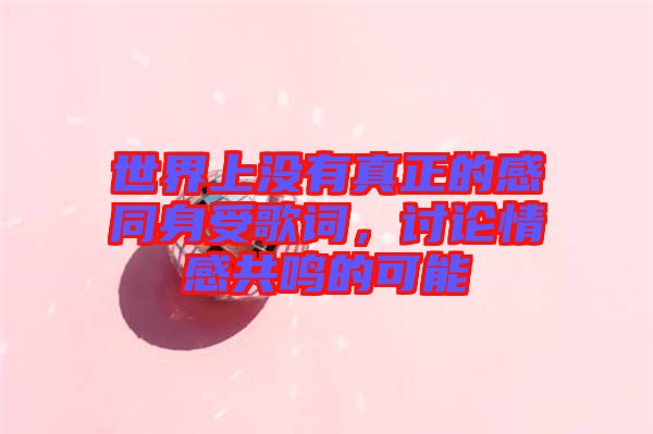 世界上沒(méi)有真正的感同身受歌詞，討論情感共鳴的可能