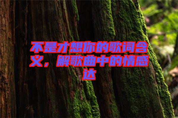 不是才想你的歌詞含義，解歌曲中的情感達(dá)