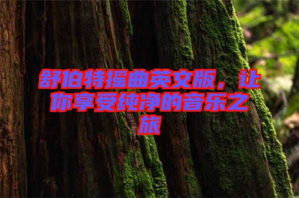 舒伯特搖曲英文版，讓你享受純凈的音樂之旅