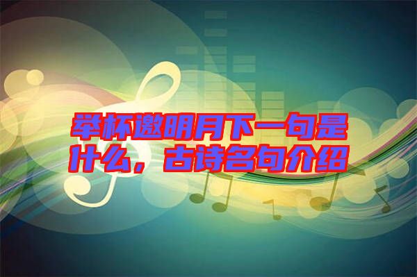 舉杯邀明月下一句是什么，古詩名句介紹