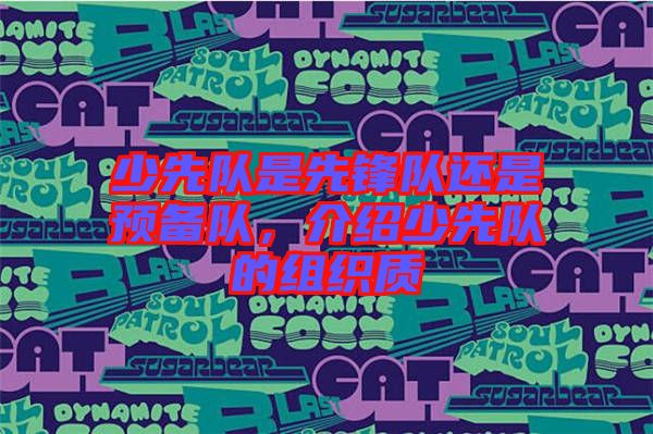 少先隊(duì)是先鋒隊(duì)還是預(yù)備隊(duì)，介紹少先隊(duì)的組織質(zhì)