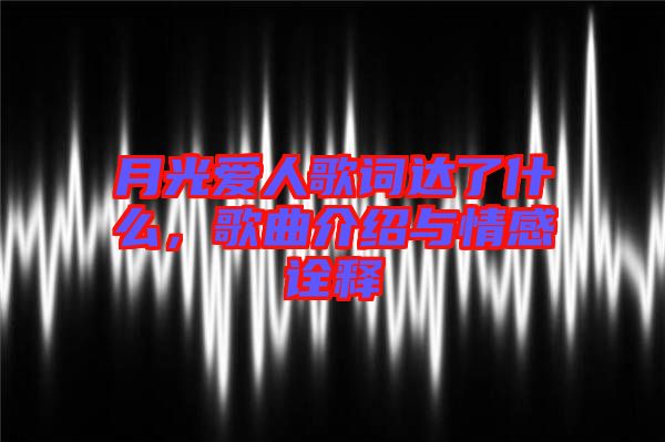月光愛人歌詞達(dá)了什么，歌曲介紹與情感詮釋