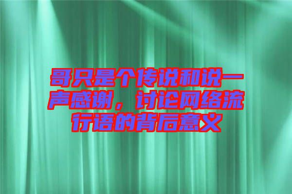 哥只是個傳說和說一聲感謝，討論網(wǎng)絡(luò)流行語的背后意義