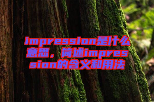 impression是什么意思，簡(jiǎn)述impression的含義和用法