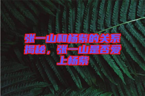 張一山和楊紫的關(guān)系揭秘，張一山是否愛上楊紫