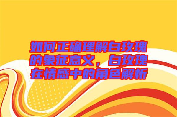 如何正確理解白玫瑰的象征意義，白玫瑰在情感中的角色解析