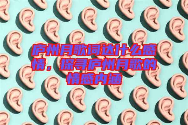 廬州月歌詞達什么感情，探尋廬州月歌的情感內(nèi)涵