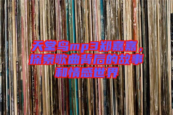 天堂鳥mp3鄭嘉嘉，探索歌曲背后的故事和情感世界