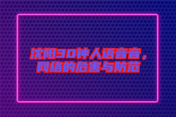沈陽30鐘人語音音，網(wǎng)絡(luò)的危害與防范