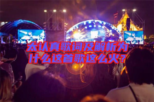 太認(rèn)真歌詞及解析為什么這首歌這么火？