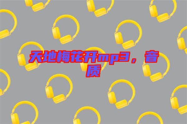 天地梅花開mp3，音質