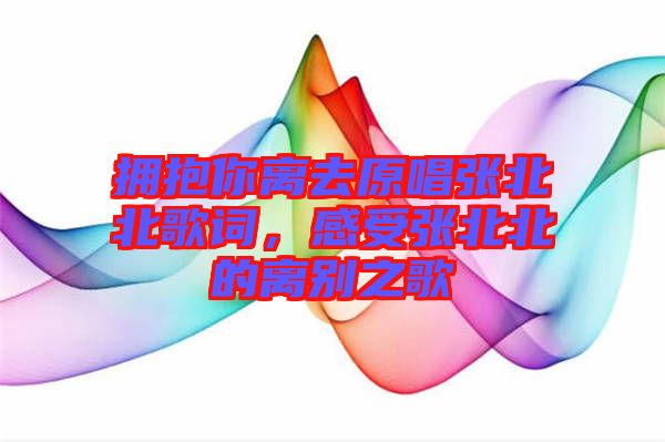 擁抱你離去原唱張北北歌詞，感受張北北的離別之歌