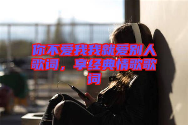 你不愛我我就愛別人歌詞，享經(jīng)典情歌歌詞