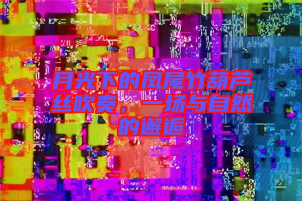 月光下的鳳尾竹葫蘆絲吹奏，一場(chǎng)與自然的邂逅