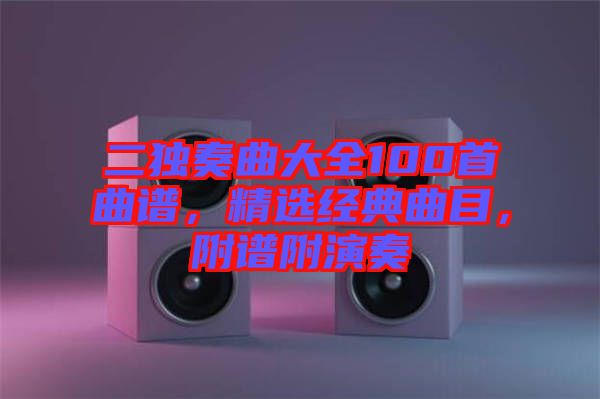 二獨(dú)奏曲大全100首曲譜，精選經(jīng)典曲目，附譜附演奏