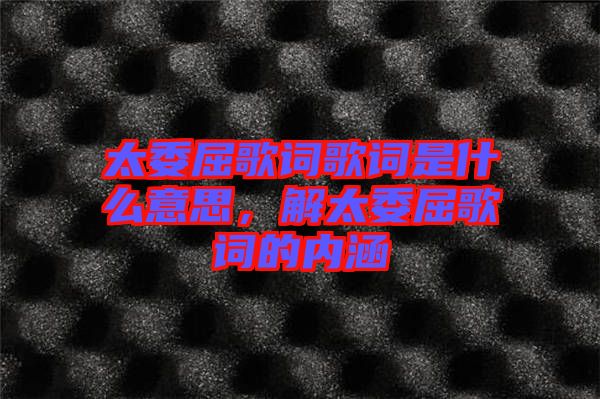 太委屈歌詞歌詞是什么意思，解太委屈歌詞的內(nèi)涵