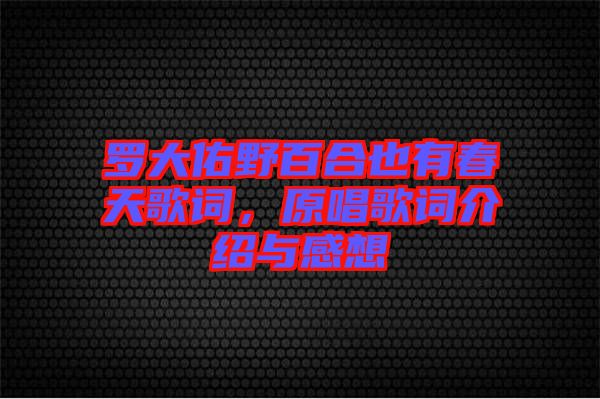 羅大佑野百合也有春天歌詞，原唱歌詞介紹與感想