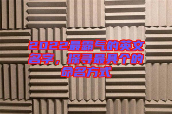 2022最霸氣的英文名字，探尋最具個(gè)的命名方式