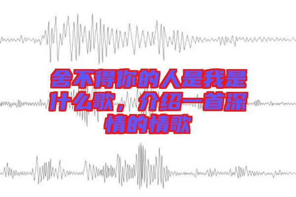 舍不得你的人是我是什么歌，介紹一首深情的情歌