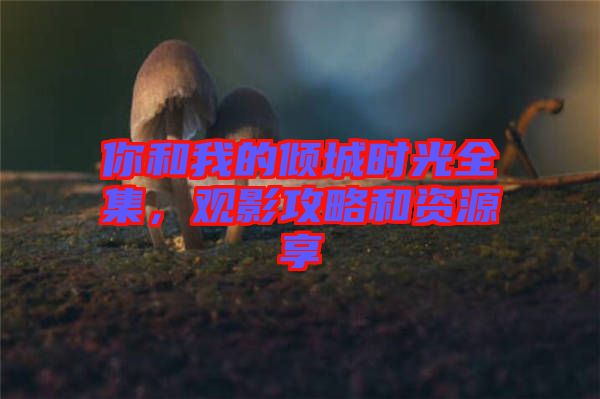 你和我的傾城時(shí)光全集，觀影攻略和資源享