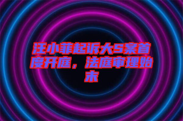 汪小菲起訴大S案首度開(kāi)庭，法庭審理始末