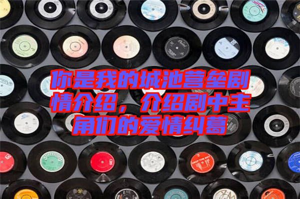 你是我的城池營(yíng)壘劇情介紹，介紹劇中主角們的愛情糾葛