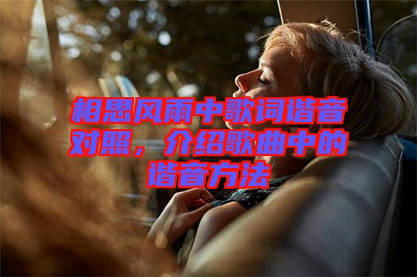 相思風(fēng)雨中歌詞諧音對照，介紹歌曲中的諧音方法