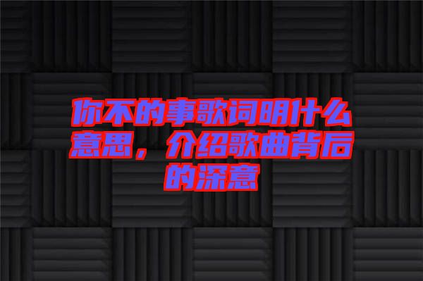 你不的事歌詞明什么意思，介紹歌曲背后的深意