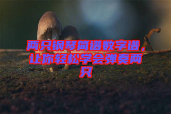 兩只鋼琴簡譜數(shù)字譜，讓你輕松學(xué)會彈奏兩只