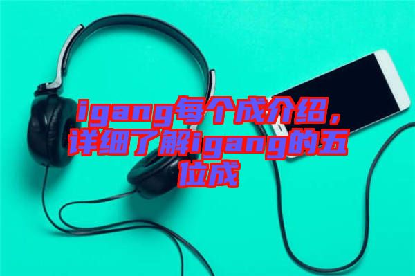 igang每個(gè)成介紹，詳細(xì)了解igang的五位成