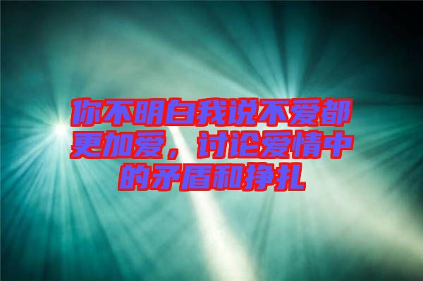 你不明白我說(shuō)不愛(ài)都更加愛(ài)，討論愛(ài)情中的矛盾和掙扎