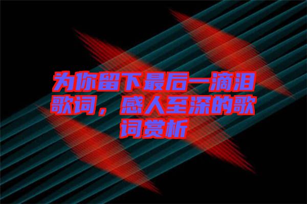 為你留下最后一滴淚歌詞，感人至深的歌詞賞析