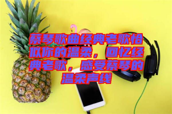 蔡琴歌曲經(jīng)典老歌恰似你的溫柔，回憶經(jīng)典老歌，感受蔡琴的溫柔聲線
