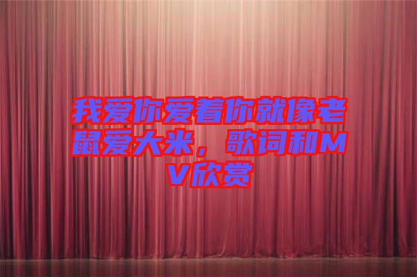 我愛你愛著你就像老鼠愛大米，歌詞和MV欣賞