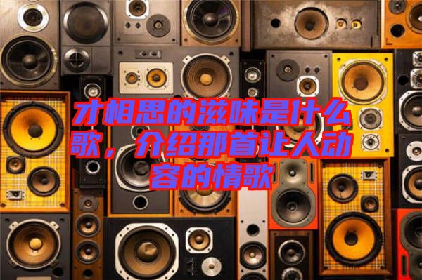 才相思的滋味是什么歌，介紹那首讓人動容的情歌