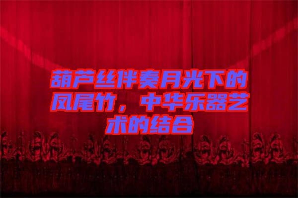 葫蘆絲伴奏月光下的鳳尾竹，中華樂(lè)器藝術(shù)的結(jié)合