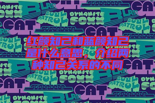 紅顏知己和藍顏知己是什么意思，介紹兩種知己關系的不同