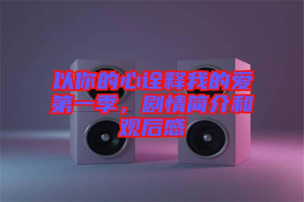 以你的心詮釋我的愛第一季，劇情簡(jiǎn)介和觀后感