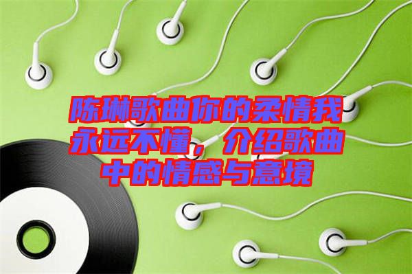 陳琳歌曲你的柔情我永遠(yuǎn)不懂，介紹歌曲中的情感與意境