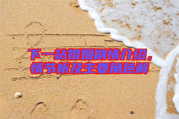 下一站婚姻劇情介紹，情節(jié)析及主要角色解