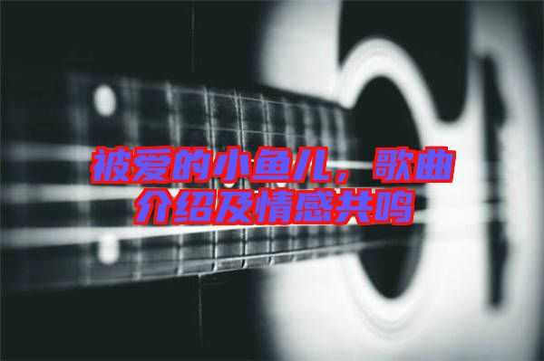 被愛的小魚兒，歌曲介紹及情感共鳴