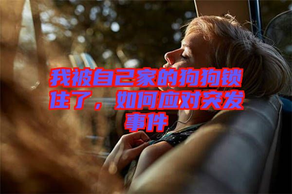 我被自己家的狗狗鎖住了，如何應對突發(fā)事件