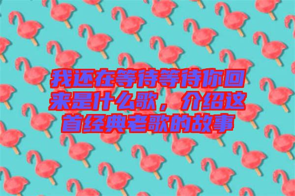 我還在等待等待你回來(lái)是什么歌，介紹這首經(jīng)典老歌的故事