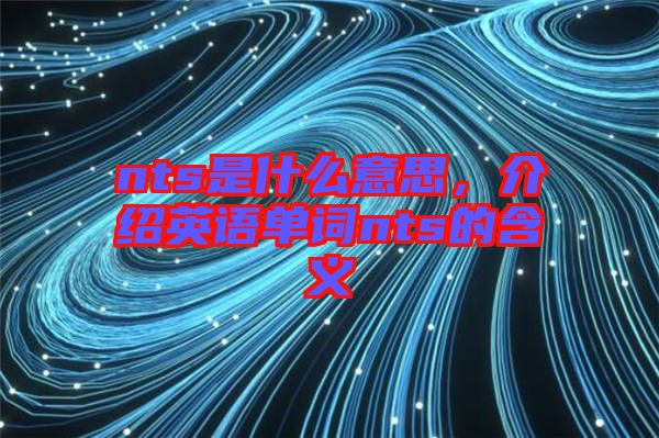 nts是什么意思，介紹英語單詞nts的含義