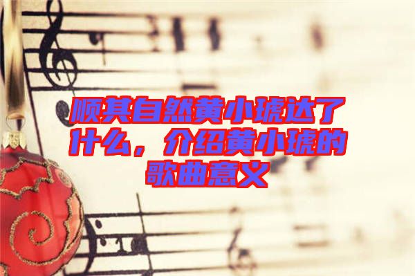 順其自然黃小琥達(dá)了什么，介紹黃小琥的歌曲意義