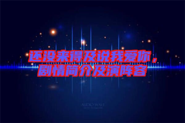 還沒來得及說我愛你，劇情簡(jiǎn)介及演陣容
